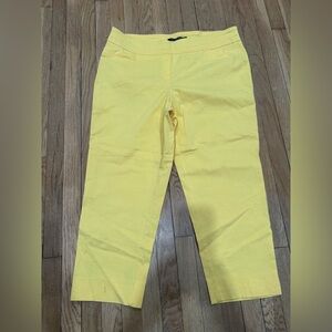 Zac & Rachel Womens 20W Yellow Flat Front Pull On Slim Leg Ankle Pants (41X26)